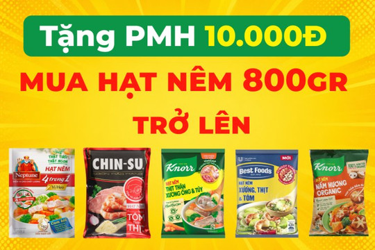 Cách nhận ngay phiếu mua hàng 10.000 đồng mua hạt nêm gói lớn trên Bách hóa XANH