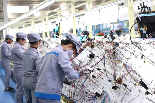 Nuôi dưỡng nguồn thu ngân sách