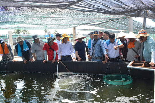 Kiến tạo nền nông nghiệp đa giá trị