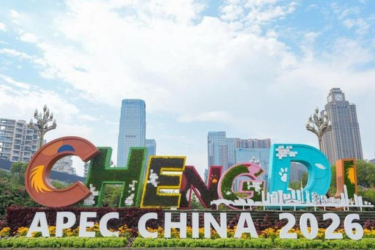 Dữ liệu trở thành động lực tăng trưởng mới của APEC