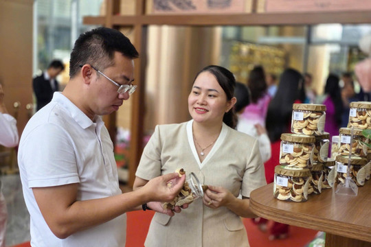Đặc sản Đà Nẵng tìm đường vào hành lý du khách