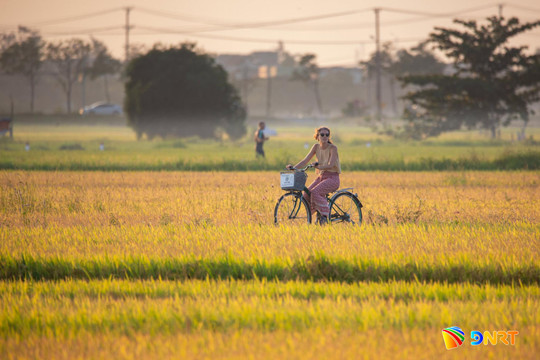 Sức hút từ sự an toàn