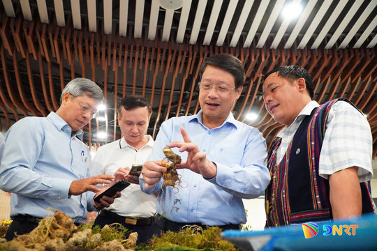 Khai mạc Lễ hội sâm Ngọc Linh và Dược liệu quốc tế Đà Nẵng 2026