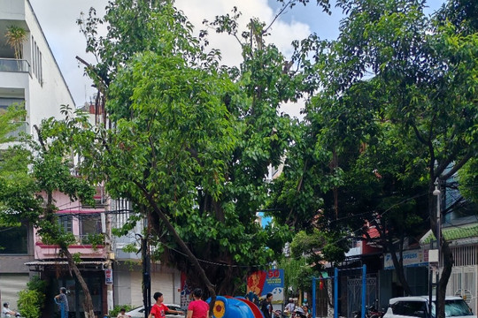 Khoảng sân còn lại những gì...