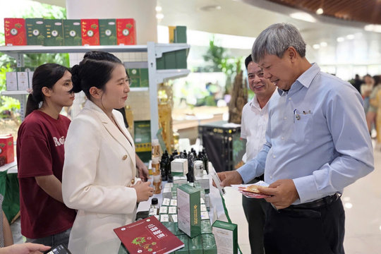 Để sâm Ngọc Linh không chỉ là món quà đắt tiền