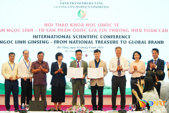 Đà Nẵng mở rộng hợp tác quốc tế, hình thành chuỗi giá trị sâm Ngọc Linh