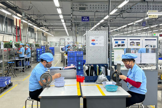 Kinh tế Đà Nẵng tháng 7/2026 tiếp tục ghi nhận nhiều tín hiệu tích cực