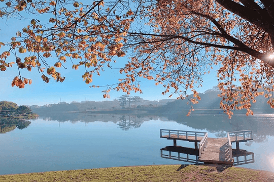 Sapa và Đà Lạt: điểm đến thu hút vào mỗi dịp hè