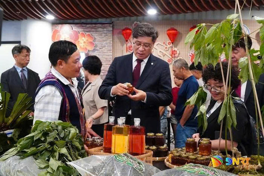 Building a value chain for Ngoc Linh ginseng via international cooperation
