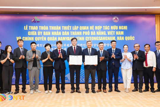 Đà Nẵng và quận Hamyang (Hàn Quốc) hợp tác phát triển dược liệu và lao động