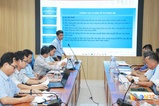 Đà Nẵng điều chỉnh phương án chi trả dịch vụ môi trường rừng cho thủy điện và du lịch