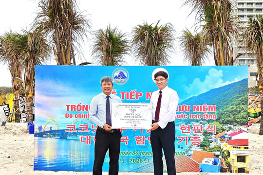 South Korea’s Hamyang County donates coconut trees to help protect Da Nang’s beaches