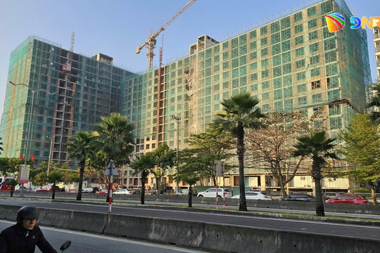 Phê duyệt chủ đầu tư Dự án nhà ở xã hội tại khu đất số 10 đường Trịnh Công Sơn