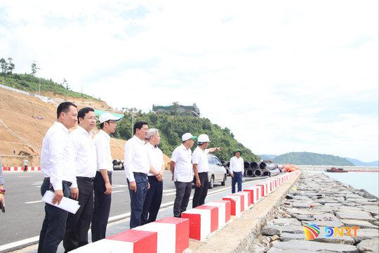 Đà Nẵng đầu tư hơn 6.200 tỷ đồng hoàn thiện hạ tầng dùng chung Cảng Liên Chiểu