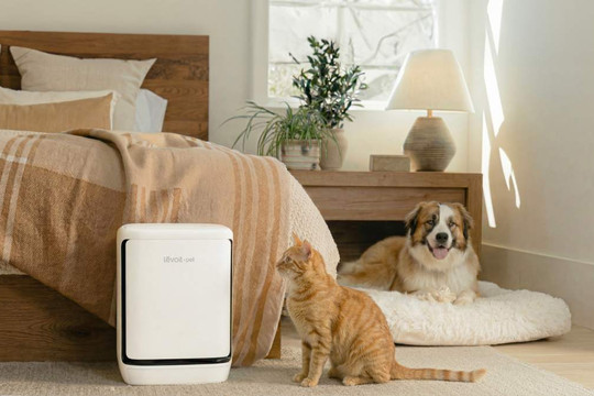 Đánh giá công nghệ trên Levoit Vital Pet Pro: Lựa chọn tối ưu cho không gian nuôi thú cưng