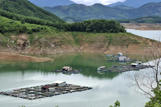 Sinh kế bền vững từ nuôi cá lồng bè hồ thủy điện Sông Tranh 2