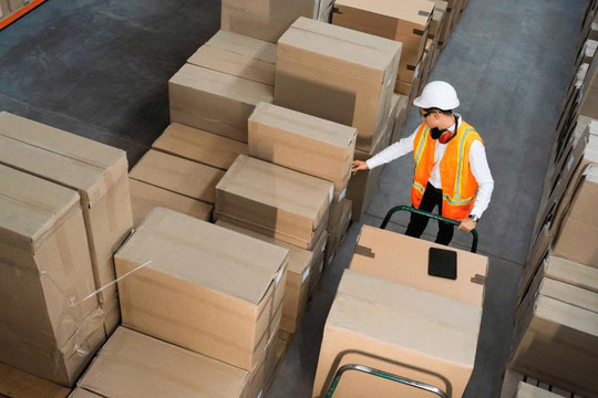 Châu Âu và chiến lược bao bì bền vững