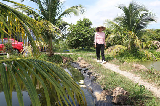 Biến đất hoang thành miệt vườn trù phú