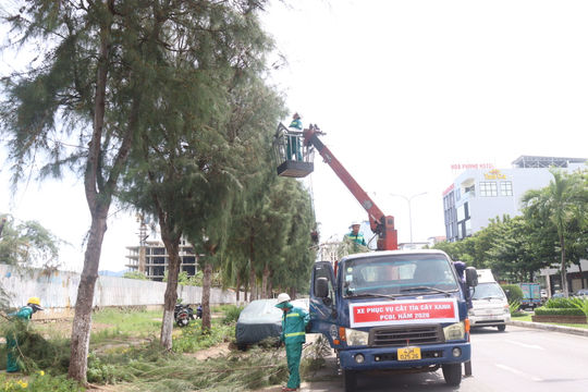 Cắt tỉa cây xanh để ứng phó mưa bão