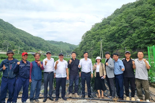 Da Nang works to expand cooperation on sending workers to RoK