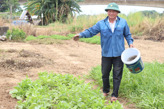Thay đổi tư duy canh tác từ phụ phẩm nông nghiệp