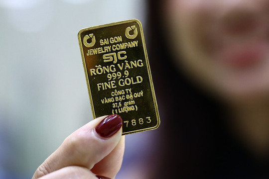 Giá vàng hôm nay 15/8/2026: Giá vàng SJC, vàng 9999, nhẫn trơn BTMC, Phú Quý