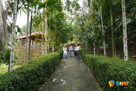 Loc Yen Village Festival invites visitors to peaceful countryside escape