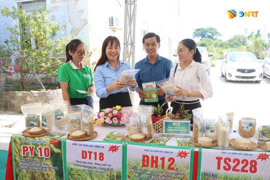 Nhân rộng mô hình, phát triển đa giá trị
