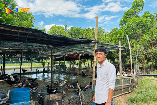Đeo đuổi mô hình nông nghiệp sạch