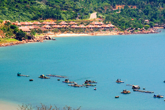 Da Nang sets strict visiting hours regulations for Son Tra Peninsula