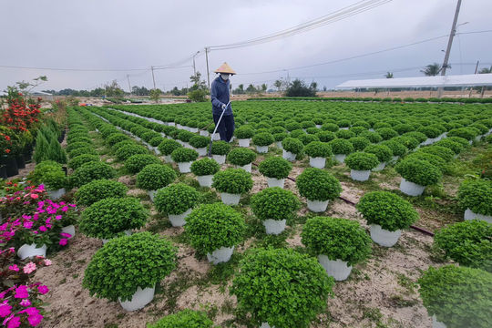 Đổi mới công tác khuyến nông