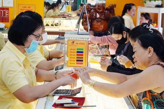 Giá vàng hôm nay 19/8/2026: Giá vàng SJC, vàng 9999, nhẫn trơn BTMC, Phú Quý
