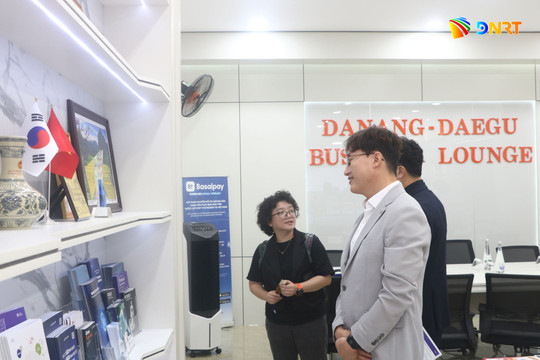 Connecting Da Nang startups and international ecosystem