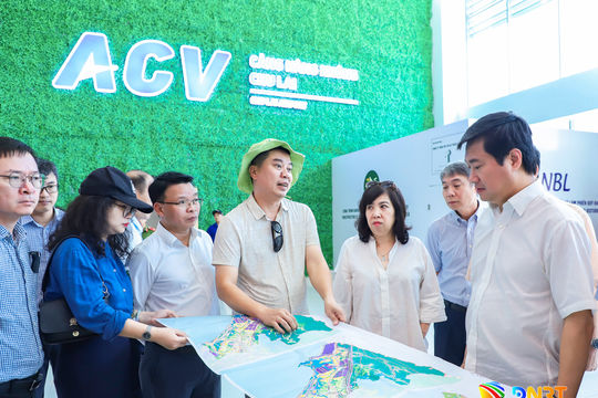 Khảo sát thực tế phục vụ thẩm định Quy hoạch chung thành phố Đà Nẵng