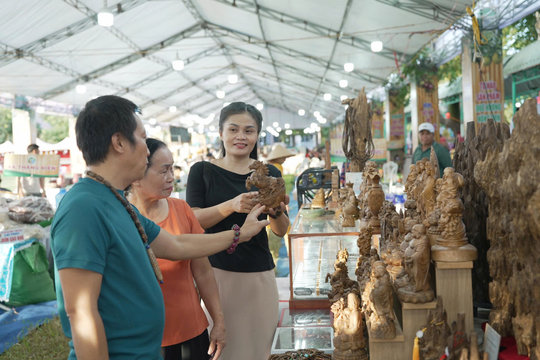 Dai Binh Cultural and Tourism Festival 2026