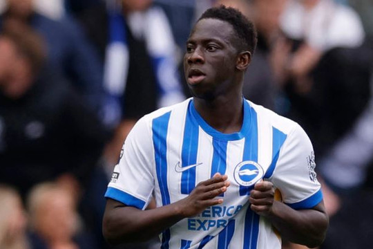 Liverpool bị Brighton từ chối liên tiếp hai đề nghị chiêu mộ Yankuba Minteh giá 60 triệu bảng