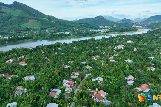 Thăm làng Đại Bình mùa “ngọt” nhất
