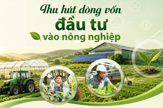 [eMagazine] - Thu hút dòng vốn đầu tư vào nông nghiệp