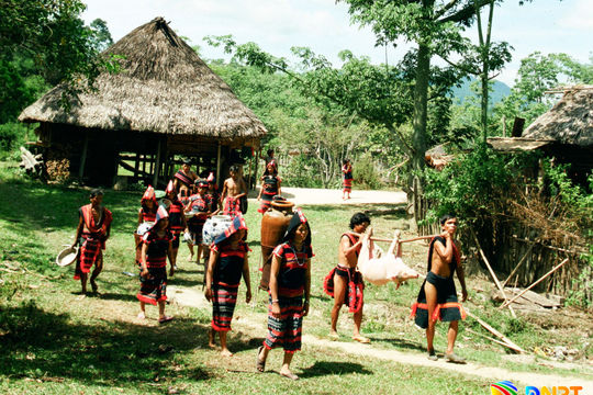 "Hằng số” hạnh phúc