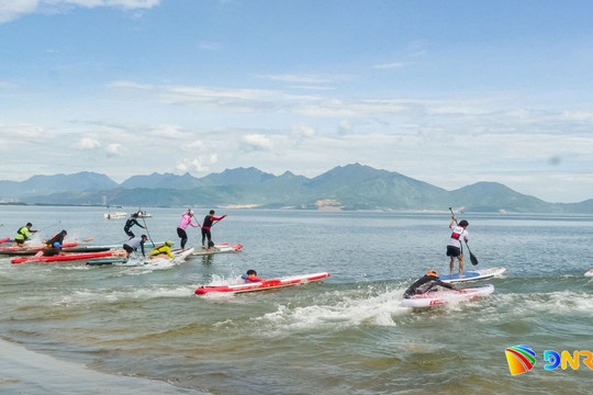 128 vận động viên tranh tài Giải đua thuyền Sailing và ván chèo đứng năm 2026