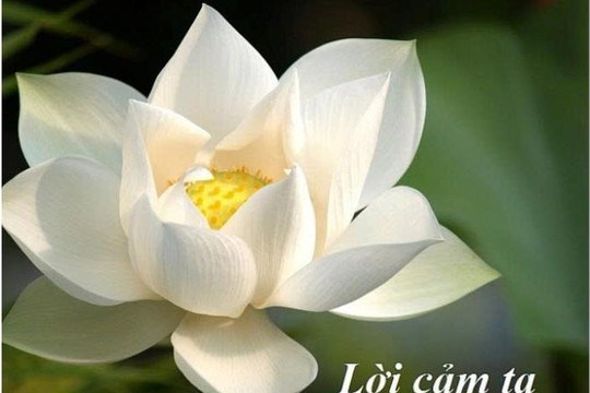 Lời cảm tạ