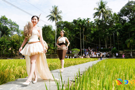 Unique areca sheath fashion show in Da Nang