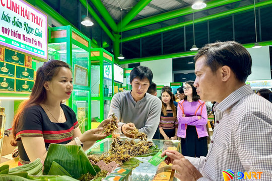 Hợp nhất các chương trình mục tiêu quốc gia: Bệ phóng cho miền núi phát triển