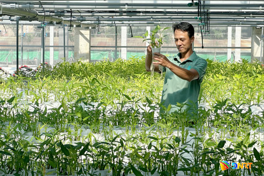 Xây nền cho chuỗi nông nghiệp bền vững
