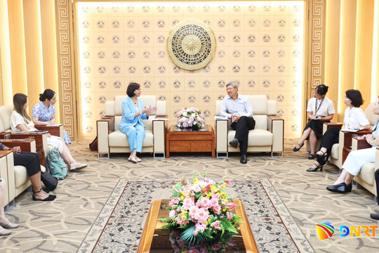 UNICEF Vietnam continues to support Da Nang in children's care and education