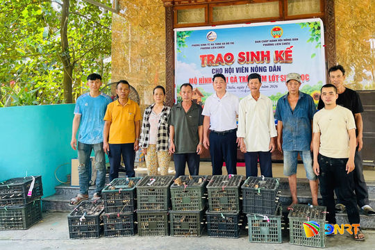 Phường Liên Chiểu hỗ trợ con giống cho hội viên nông dân