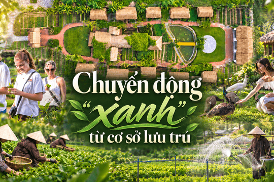 Chuyển động “xanh” từ cơ sở lưu trú