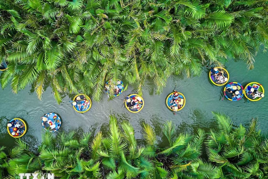 Bay Mau Nipa Palm Forest - A unique eco-cultural attraction in Da Nang