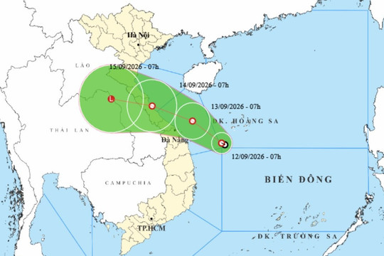 Tropical depression brings heavy rain in Da Nang