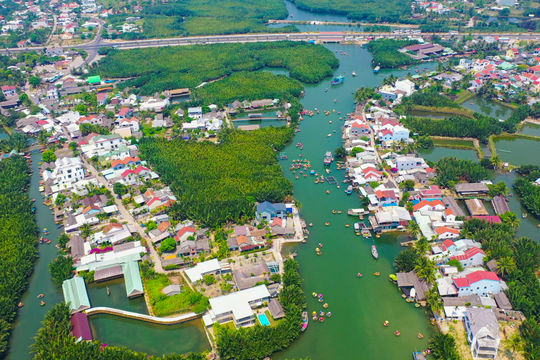 Để Cẩm Thanh luôn xanh
